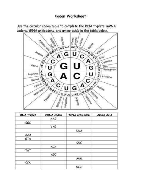Protein synthesis is the construction of proteins within living cells. . Codon chart worksheet